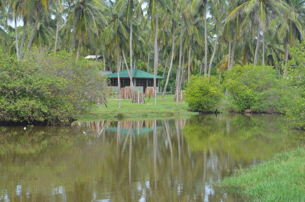 Aqua Front Yala Resort Kirinda  Eksteriør billede
